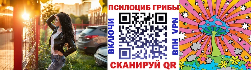 наркошоп  Пудож  Псилоцибиновые грибы мухоморы 